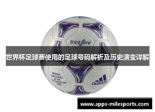 世界杯足球赛使用的足球号码解析及历史演变详解