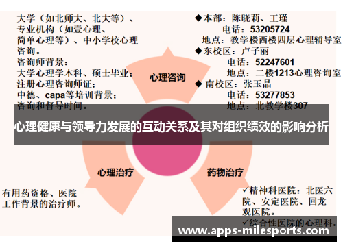 心理健康与领导力发展的互动关系及其对组织绩效的影响分析