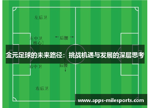 金元足球的未来路径：挑战机遇与发展的深层思考